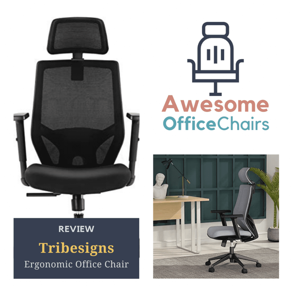 Review: Tribesigns Ergonomic Office Chair